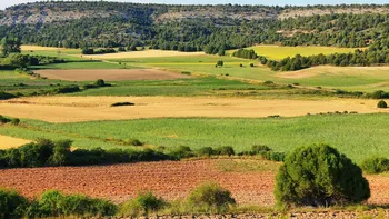 Cât oferă Marinela din Spania pentru munca la vie. Anunțul ei a devenit viral pe TikTok