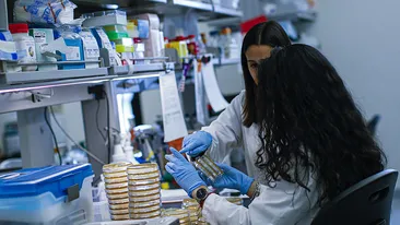 Oamenii care se vindecă de COVID-19 nu sunt liberi să meargă acasă! La ce sunt supuși aceștia