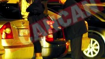 Soferul lui Stolojan i-a adus geaca Andreei de acasa