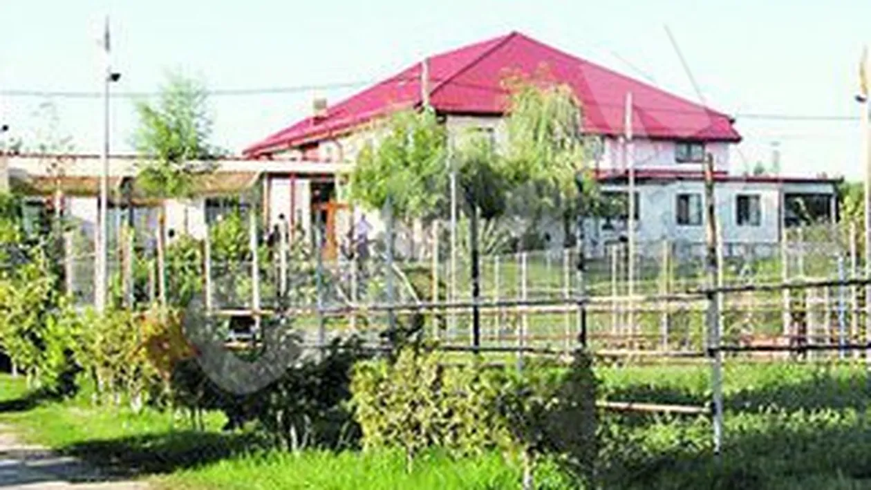 Fabrica Aldis, la un pas de prabusire?Alina Naghi, fata in fata cu revolta angajatilor: nu a platit salariile si urmeaza disponibilizari