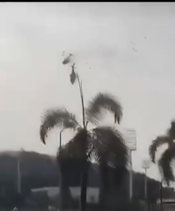 Tragedie în lumea artistică! Cântărețul Oliver Tree și alte 5 persoane au murit după ciocnirea a două elicoptere