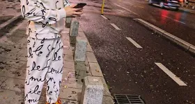 Galerie foto - poza 3