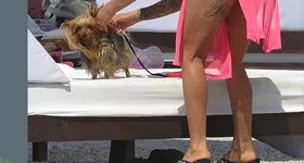 Galerie foto - poza 3