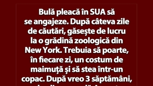 BANC | Bulă pleacă în SUA să se angajeze
