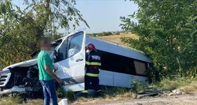 Galerie foto - poza 4