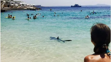 Momente de panică pe plajă! Toată lumea a ieşit îngrozită din apă când a văzut ce se află în spate. Imaginile au ajuns virale instant