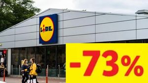 Cea mai mare reducere de la LIDL România. Produsul ieftinit cu 73% începând de astăzi