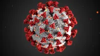 Bilanț decese coronavirus în România. Câte persoane infectate și-au pierdut viața în ultimele 24 de ore 