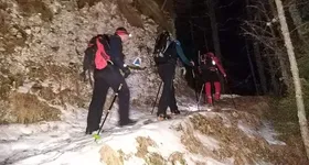 Galerie foto - poza 4