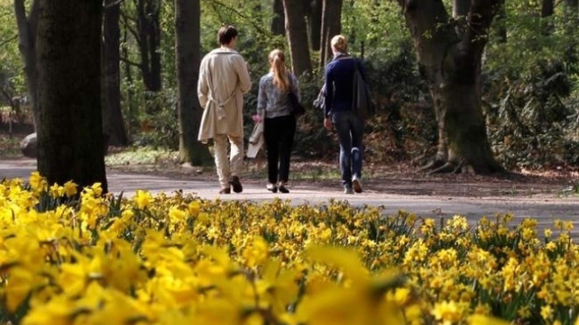 METEO 12 APRILIE:  Cum va fi vremea marţi