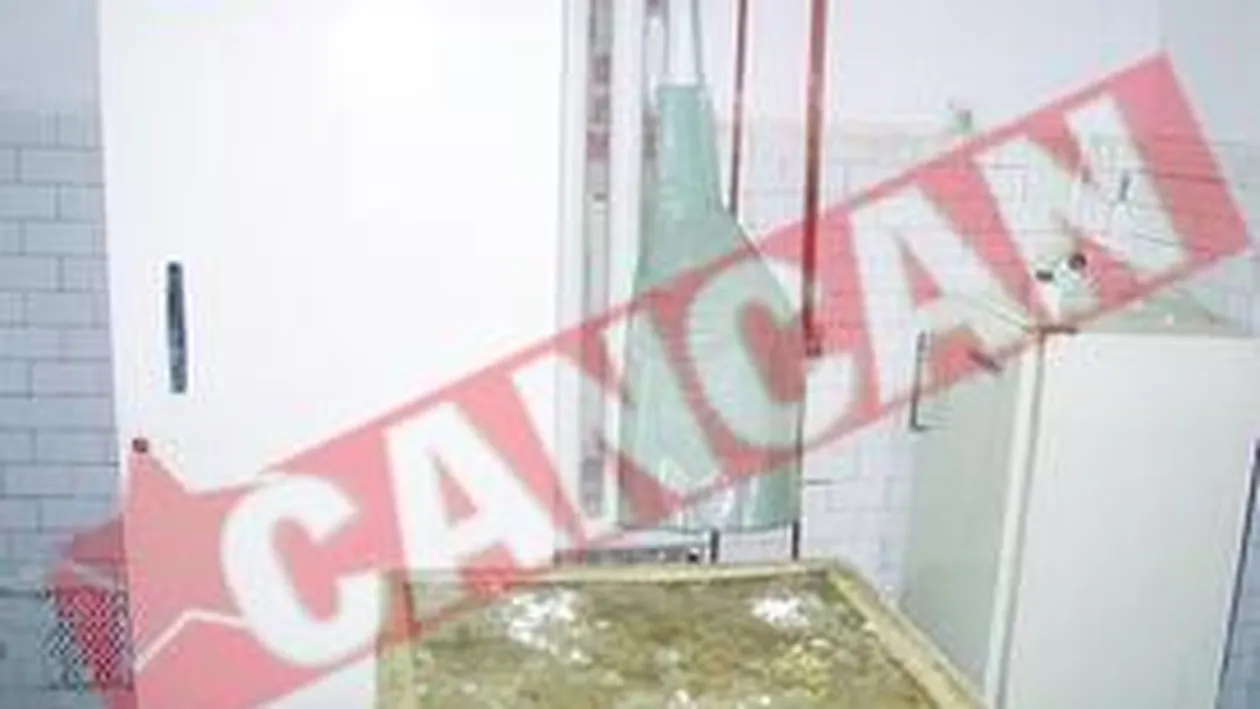 Copiii de la morga din Timisoara sunt depozitati in frigidere de mancare