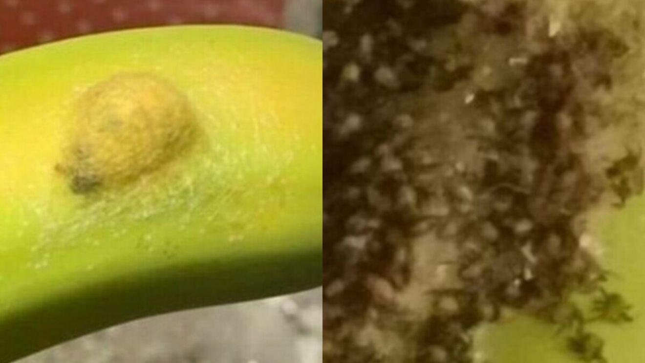 Dezgustător! Ce a descoperit o femeie sub coaja unei banane: ”Am simțit mâncărimi peste tot”