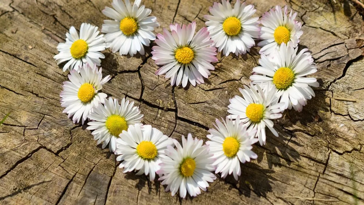 Florii, tradiții și superstiții. Ce nu trebuie să faci, sub nicio formă, pe 9 aprilie 2023