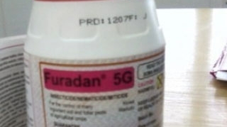 Cinci persoane din Giurgiu au incercat sa se sinucida cu Furadan in ultimele trei zile