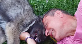 Galerie foto - poza 3