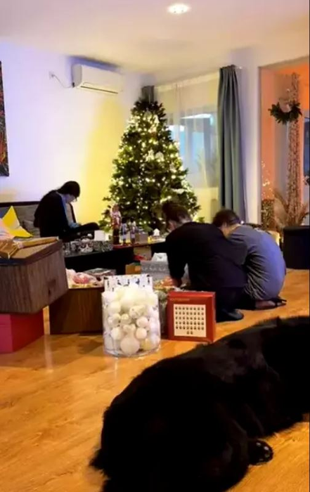 Cum arată vila cu două etaje în care locuiesc Răzvan și Irina Fodor? Au amenajat totul după bunul plac