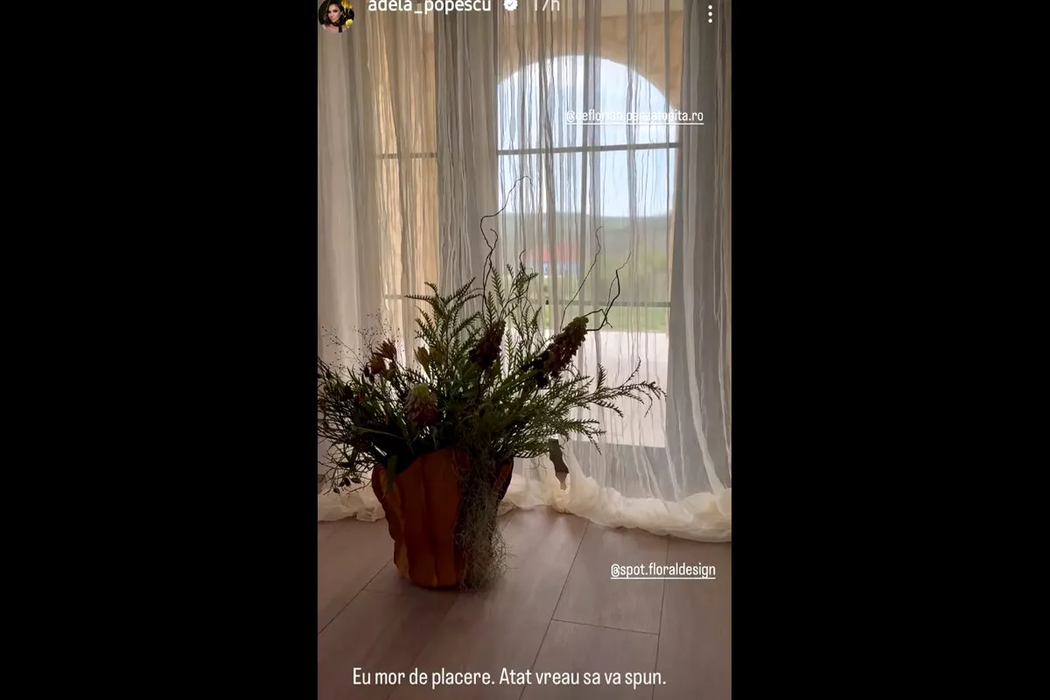 Cum arată casă de vacanță a Adelei Popescu și a lui Radu Vâlcan! Cei doi aproape au terminat amenajările