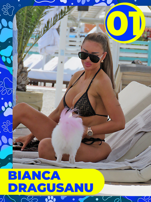 Top 25 vedete care și-au etalat costumele de baie, dar cățeii lor au făcut senzaţie! Delia, Bianca Drăgușanu sau Lora, eclipsate de patrupezi la malul mării