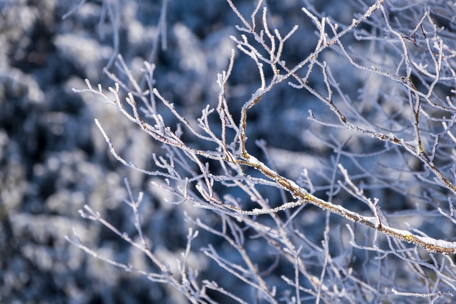 Meteorologii ANM anunță vreme bizară în România. Sursă: Pixabay