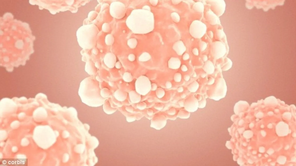 REVOLUŢIONAR. Cercetătorii au descoperit un element foarte important în tratarea cancerului 