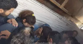 Galerie foto - poza 2