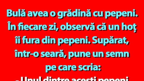 BANC | Bulă avea o grădină cu pepeni