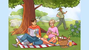 Test de logică | În această fotografie sunt ascunse 5 cărți. Le puteți găsi pe toate?