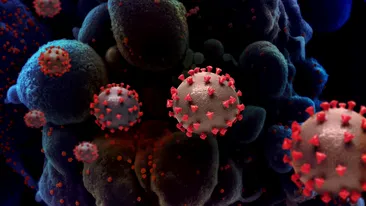 O nouă mutație a virusului SARS-Cov-2 a fost descoperită în Germania. Noua tulpină diferă de cele apărute în Africa de Sud și Anglia
