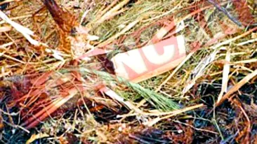 O vrabie i-a dat foc la magazin