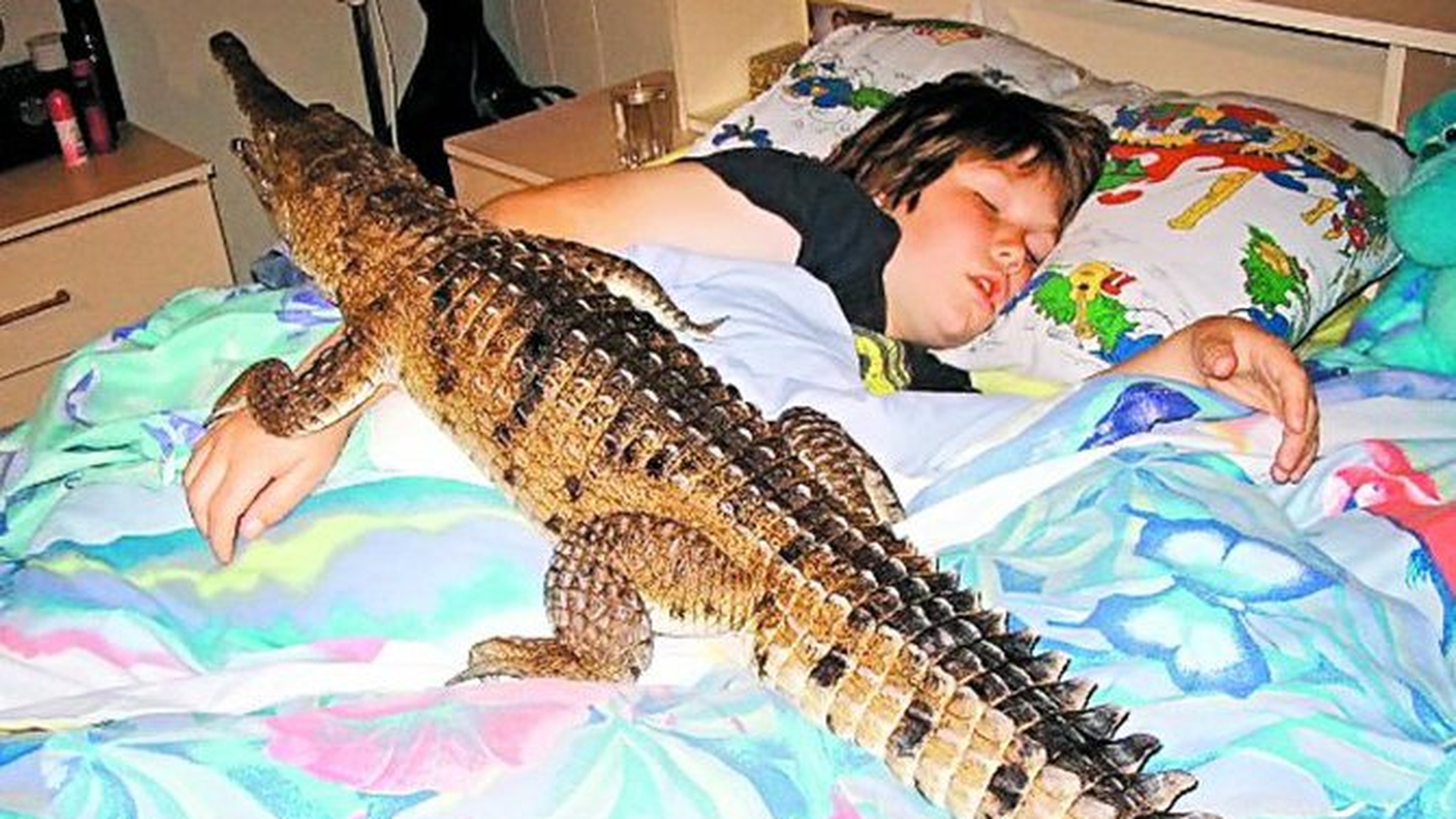 Tin trei crocodili in casa!
