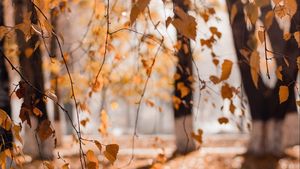 Vara a ajuns la final. Prognoza meteo pe luna septembrie