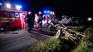 Căruțele și caii scăpați de sub control, pericole pe șoselele din Dâmbovița