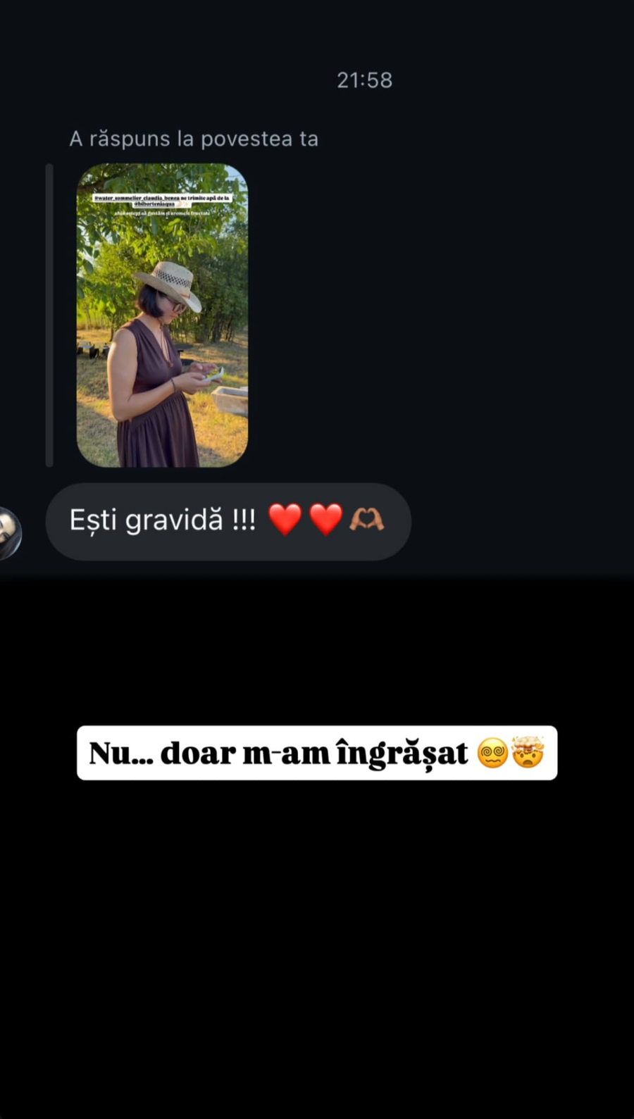 Cum i-a răspuns Ileana Sterp unei fane/ sursa foto: Instagram