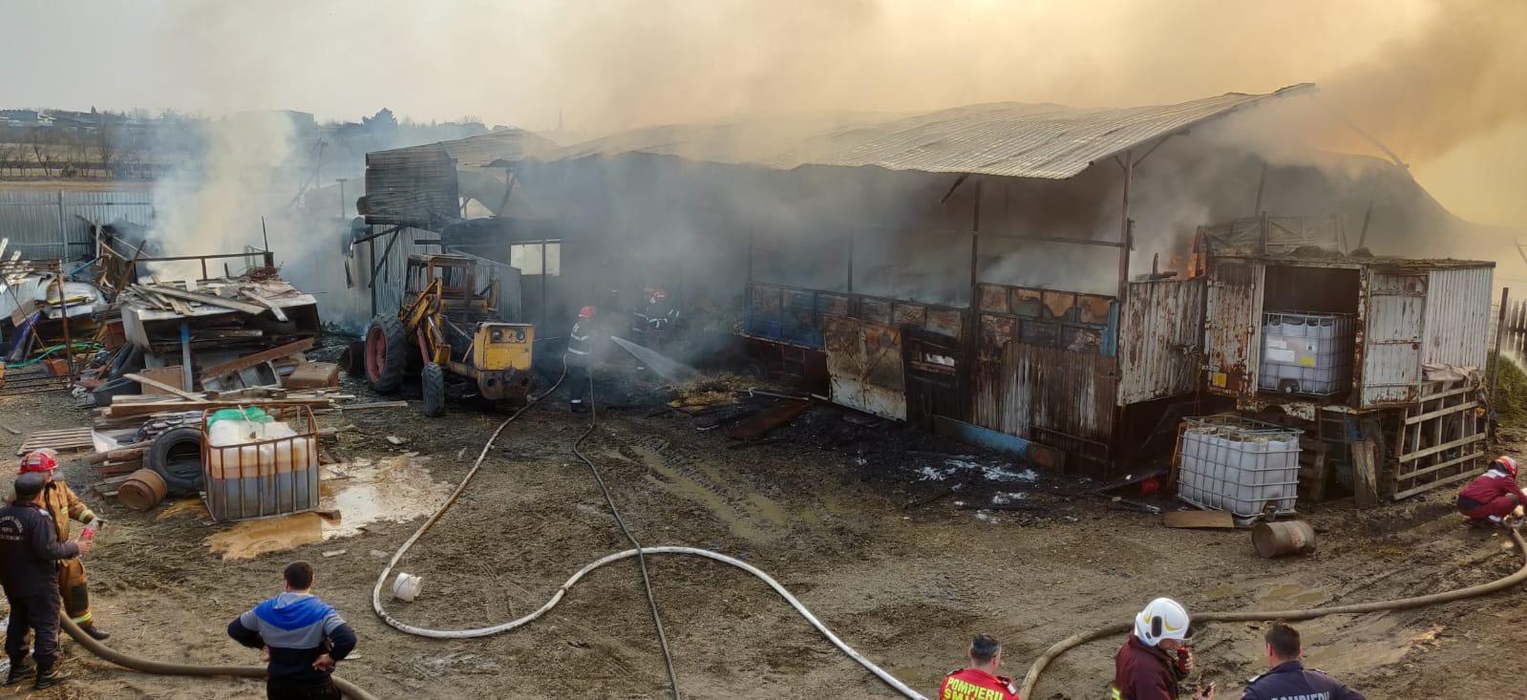 Incendiu violent în Prahova. Pompierii se luptă cu flăcări imense | VIDEO EXCLUSIV
