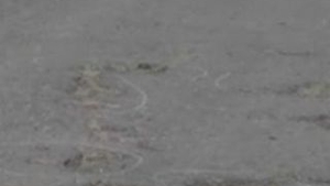 VIDEO A cazut de pe bicicleta din cauza unei gropi in asfalt si a murit