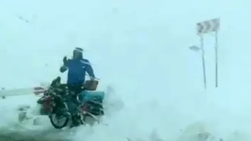 Imagini complet neobişnuite de pe Transfăgărăşanul acoperit de nămeţi. Apariţia care i-a lăsat pe toţi cu gura căscată