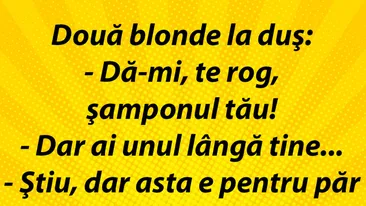 Bancul dimineții | Două blonde la duș