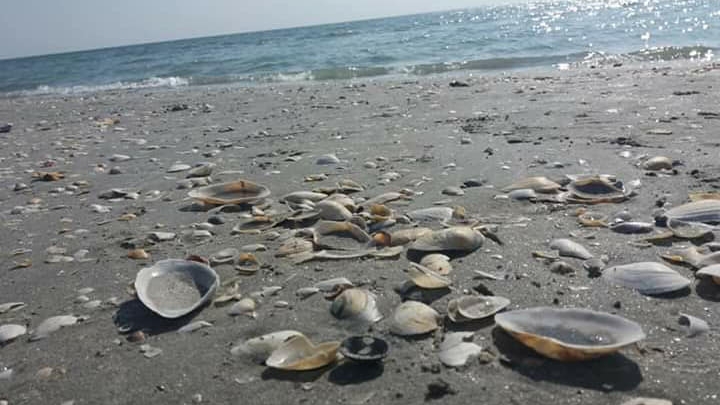 Hotelierii din Eforie Nord şi Eforie Sud se plâng de nudişti. Turiştii au făcut reclamaţii şi ei: "Sunt prea..."