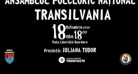 Galerie foto - poza 2