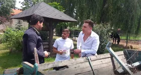 Galerie foto - poza 4