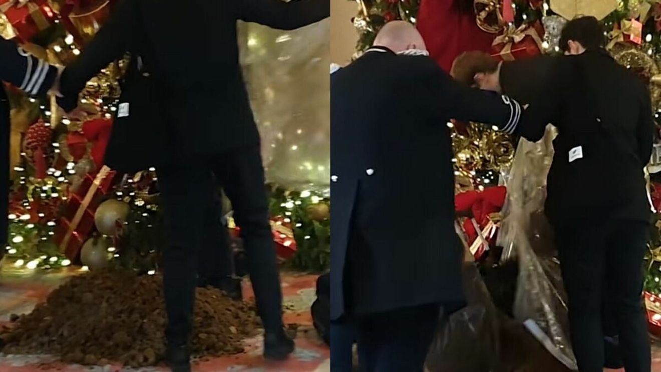 Scene incredibile la hotelul Ritz din Londra! Trei activiști au vandalizat bradul de Crăciun din hol