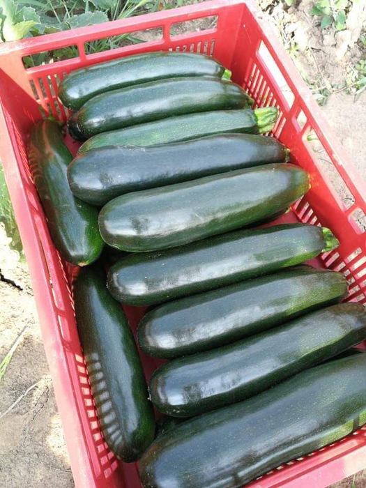 A început cu zucchini, dar a trecut la broccoli