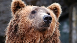 BANCUL ZILEI | Un ateu se plimba prin pădure