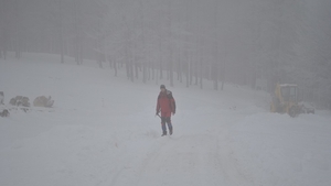 Meteorologii au emis cod galben de ceaţă! După ninsori, vine gerul în România