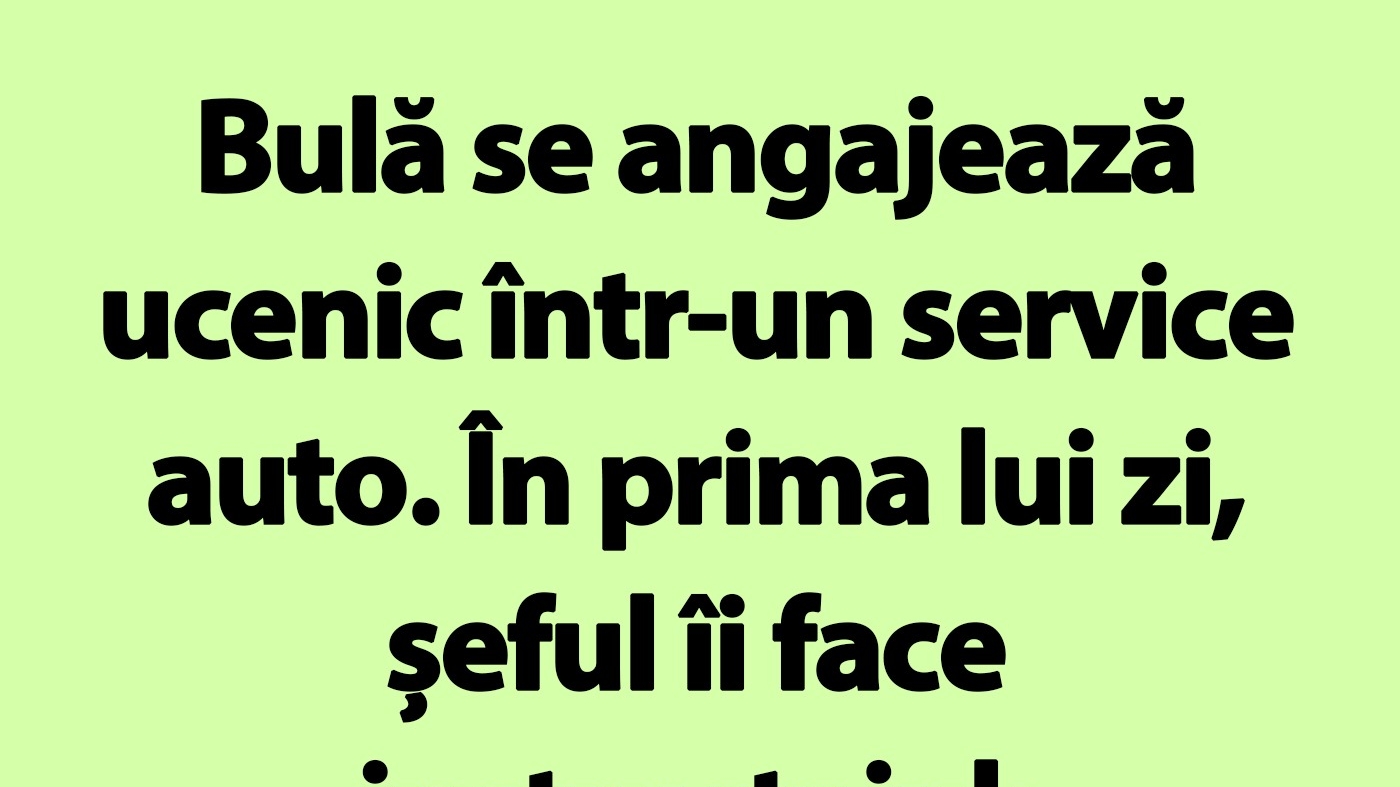 BANC | Bulă se angajează ucenic într-un service auto
