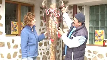 Un pescar amator din judetul Mehedinti a prins un somn de 105 kilograme!