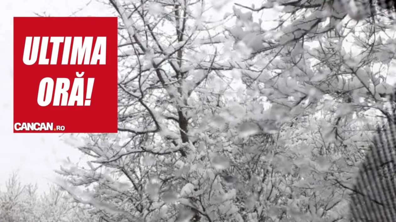 Meteorologii AccuWeather au anunţat că va ninge de Paşte!  Cum va fi vremea în toată ţara