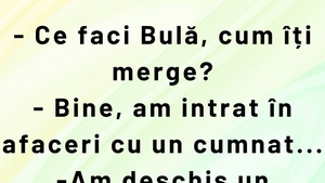 BANC | Bulă a intrat în afaceri cu cumnatul
