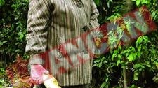 Mama presedintelui Basescu, izolata in casa