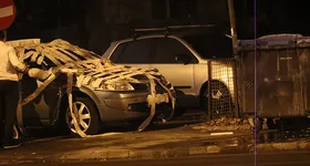 Galerie foto - poza 4